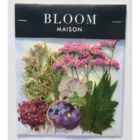 押し花｜花材セット ビオラ Pressed Flower Kit インテリア・ギフト・ウェルカムボードなどのハンドメイドに　F-731 BLOOM MAISON