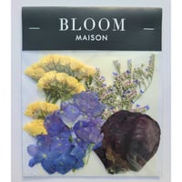 押し花｜花材セット スターチス Pressed Flower Kit インテリア・ギフト・ウェルカムボードなどのハンドメイドに　F-876 BLOOM MAISON