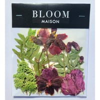 押し花｜花材セット カーネション Pressed Flower Kit インテリア・ギフト・ウェルカムボードなどのハンドメイドに　F-918 BLOOM MAISON