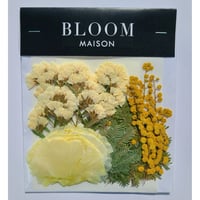 押し花｜花材セット ミモザ Pressed Flower Kit インテリア・ギフト・ウェルカムボードなどのハンドメイドに　F-995 BLOOM MAISON