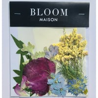 押し花｜花材セット スイートピー Pressed Flower Kit インテリア・ギフト・ウェルカムボードなどのハンドメイドに　F-925 BLOOM MAISON