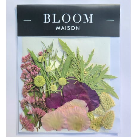 押し花｜花材セット フジバカマ Pressed Flower Kit インテリア・ギフト・ウェルカムボードなどのハンドメイドに　F-763 BLOOM MAISON
