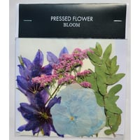 【押し花｜花材セット リューココリネ Pressed Flower Kit ギフト・ウェルカムボードなどのハンドメイドに】F-554 BLOOM MAISON