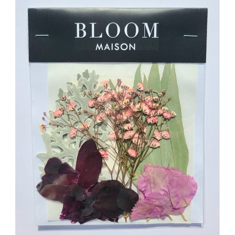 押し花｜花材セット カスミ草 Pressed Flower Kit インテリア・ギフト・ウェルカムボードなどのハンドメイドに　F-809 BLOOM MAISON