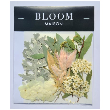 押し花｜花材セット コデマリ Pressed Flower Kit インテリア・ギフト・ウェルカムボードなどのハンドメイドに　F-1028 BLOOM MAISON
