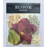 押し花｜花材セット ダスティーミラー Pressed Flower Kit インテリア・ギフト・ウェルカムボードなどのハンドメイドに　F-916 BLOOM MAISON