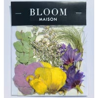 押し花｜花材セット ラナンキュラス Pressed Flower Kit インテリア・ギフト・ウェルカムボードなどのハンドメイドに　F-927 BLOOM MAISON