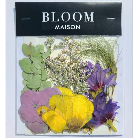 押し花｜花材セット ラナンキュラス Pressed Flower Kit インテリア・ギフト・ウェルカムボードなどのハンドメイドに　F-927 BLOOM MAISON
