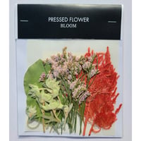 【押し花｜花材セット アマランサス Pressed Flower Kit インテリア・ギフト・ウェルカムボードなどのハンドメイドに】F-702 BLOOM MAISON