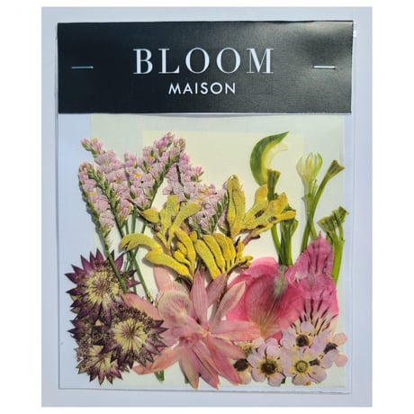 押し花｜花材セット リモニウム Pressed Flower Kit インテリア・ギフト・ウェルカムボードなどのハンドメイドに　F-1085 BLOOM MAISON