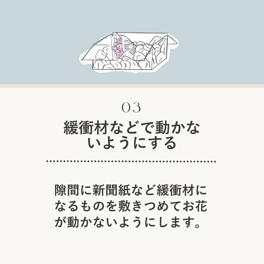 65436233c362b30029ce7488