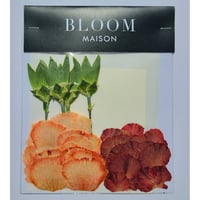押し花｜花材セット カーネーション Pressed Flower Kit インテリア・ギフト・ウェルカムボードなどのハンドメイドに　F-982 BLOOM MAISON
