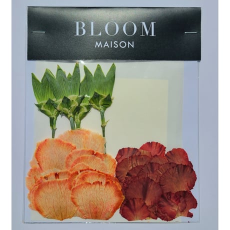 押し花｜花材セット カーネーション Pressed Flower Kit インテリア・ギフト・ウェルカムボードなどのハンドメイドに　F-982 BLOOM MAISON