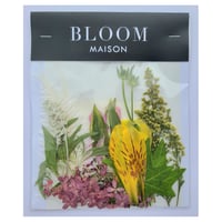 押し花｜花材セット アルストロメリア Pressed Flower Kit インテリア・ギフト・ウェルカムボードなどのハンドメイドに　F-1084 BLOOM MAISON