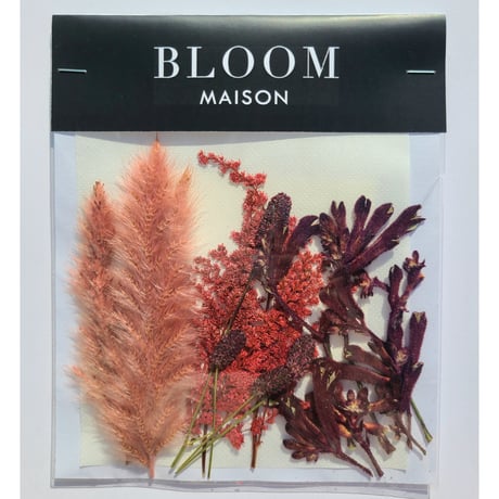 押し花｜花材セット カンガルーポー Pressed Flower Kit インテリア・ギフト・ウェルカムボードなどのハンドメイドに　F-799 BLOOM MAISON