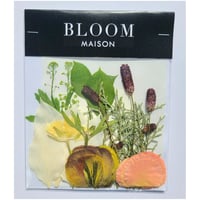 押し花｜花材セット ワレモコウ Pressed Flower Kit インテリア・ギフト・ウェルカムボードなどのハンドメイドに　F-1009 BLOOM MAISON