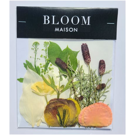 押し花｜花材セット ワレモコウ Pressed Flower Kit インテリア・ギフト・ウェルカムボードなどのハンドメイドに　F-1009 BLOOM MAISON