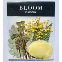 押し花｜花材セット ガマズミ Pressed Flower Kit インテリア・ギフト・ウェルカムボードなどのハンドメイドに　F-910 BLOOM MAISON