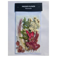 ②花材セット 押し花｜花材セット SPストック Pressed Flower Kit ギフト