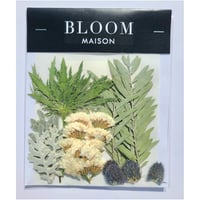 押し花｜花材セット アカシア Pressed Flower Kit インテリア・ギフト・ウェルカムボードなどのハンドメイドに　F-955 BLOOM MAISON