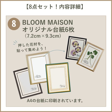 【押し花初心者キット・植物標本カード】　初めての方におすすめ・庭の小花で作る押し花キット・押し花材料