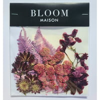 押し花｜花材セット オンシジューム Pressed Flower Kit インテリア・ギフト・ウェルカムボードなどのハンドメイドに　F-819 BLOOM MAISON