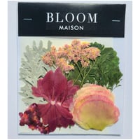 押し花｜花材セット ポリシャス Pressed Flower Kit インテリア・ギフト・ウェルカムボードなどのハンドメイドに　F-976 BLOOM MAISON