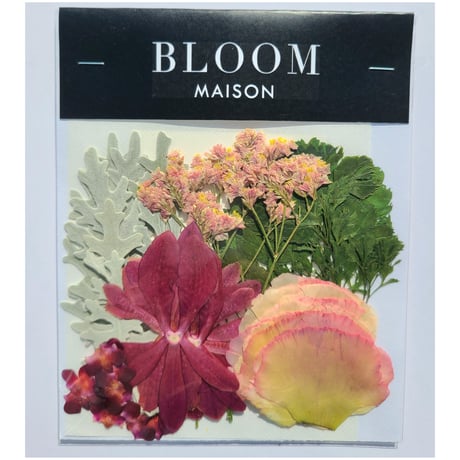 押し花｜花材セット ポリシャス Pressed Flower Kit インテリア・ギフト・ウェルカムボードなどのハンドメイドに　F-976 BLOOM MAISON