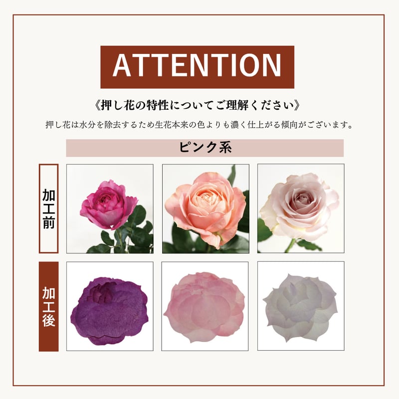 プロポーズ花束（押し花アート）：ボヌール | BLOOM MAISON