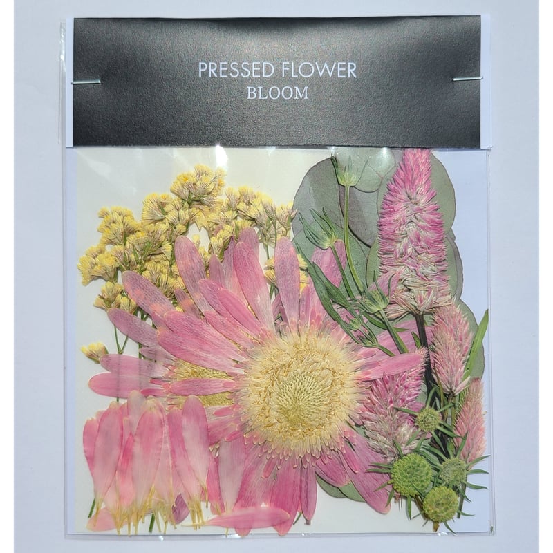 押し花｜花材セット スターチス Pressed Flower Kit ギフト