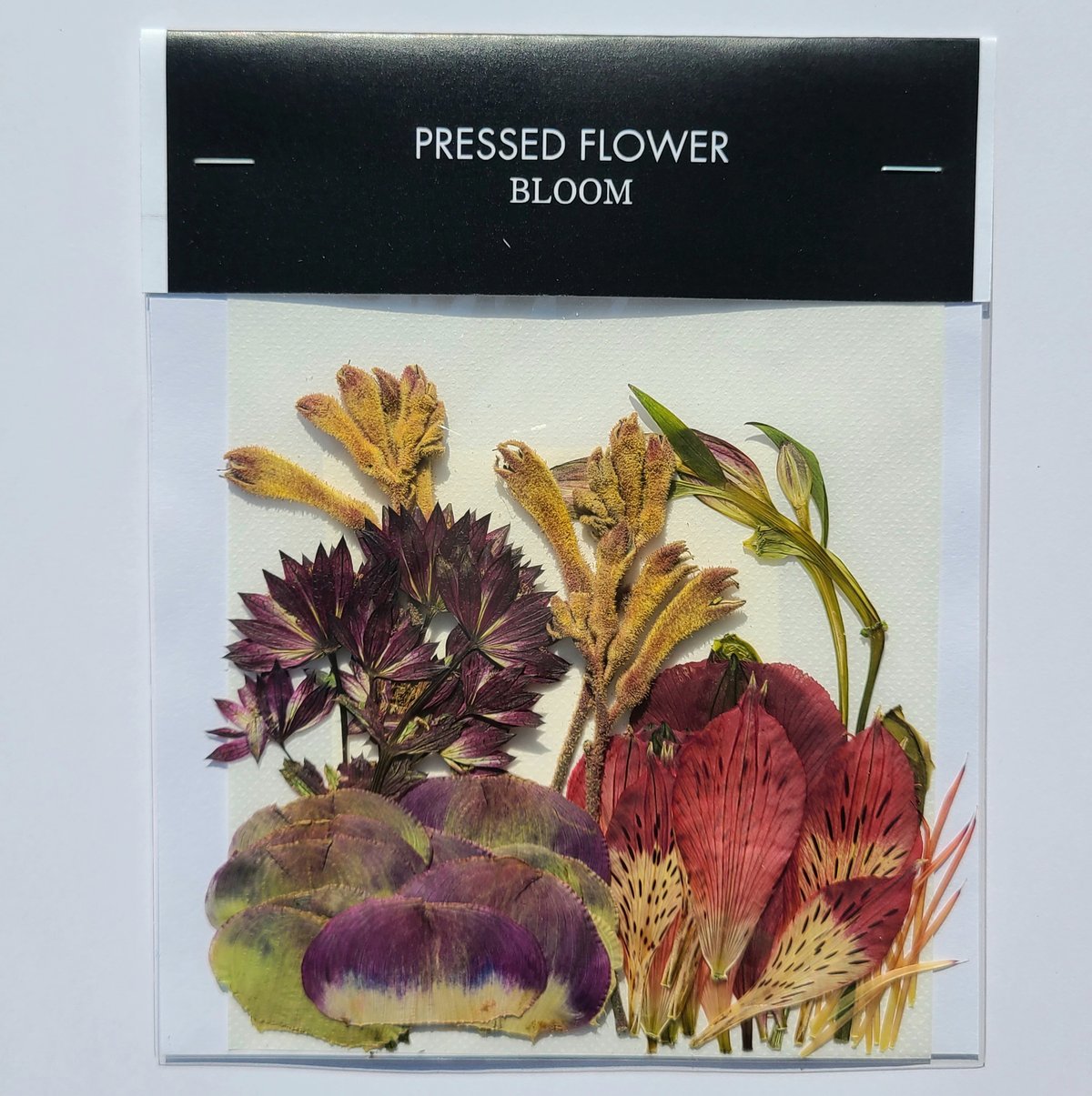 押し花｜花材セット アルストロメリア Pressed Flower Kit ギフト