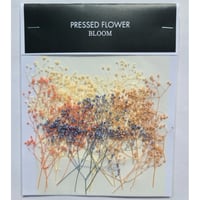 【押し花｜花材セット カスミソウ プリザーブドフラワー Pressed Flower Kit ギフト・ウエルカムボードなどのハンドメイドに】F-481 BLOOM MAISON
