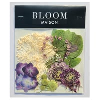 押し花｜花材セット スカビオサ Pressed Flower Kit インテリア・ギフト・ウェルカムボードなどのハンドメイドに　F-1041 BLOOM MAISON