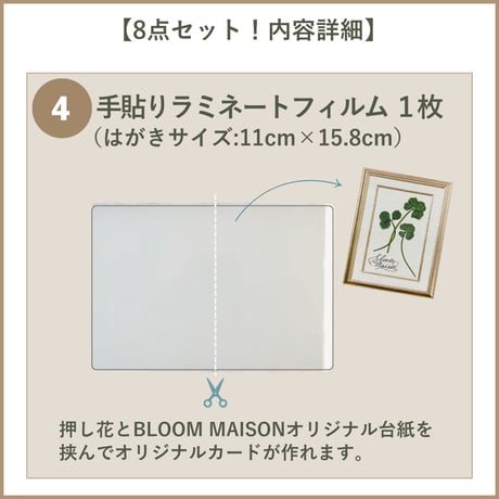 【押し花初心者キット・植物標本カード】　初めての方におすすめ・庭の小花で作る押し花キット・押し花材料