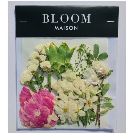 押し花｜花材セット カーネーション Pressed Flower Kit インテリア・ギフト・ウェルカムボードなどのハンドメイドに　F-749 BLOOM MAISON