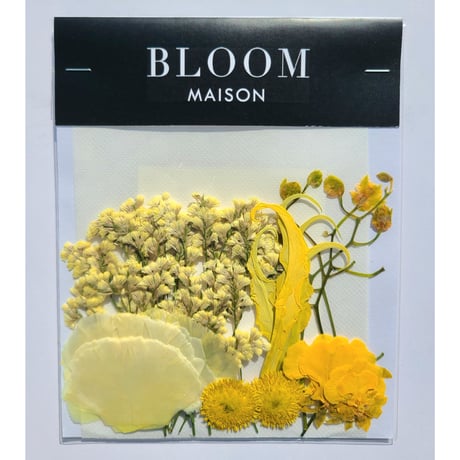 押し花｜花材セット オンシジューム Pressed Flower Kit インテリア・ギフト・ウェルカムボードなどのハンドメイドに　F-1015 BLOOM MAISON