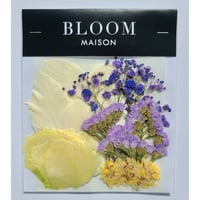 押し花｜花材セット ハイブリッドスターチス Pressed Flower Kit インテリア・ギフト・ウェルカムボードなどのハンドメイドに　F-1001 BLOOM MAISON