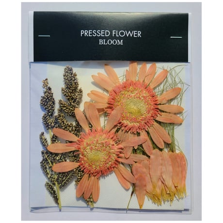【押し花｜花材セット フレイクショコラータ Pressed Flower Kit ギフト・ウェルカムボードなどのハンドメイドに】F-659 BLOOM MAISON