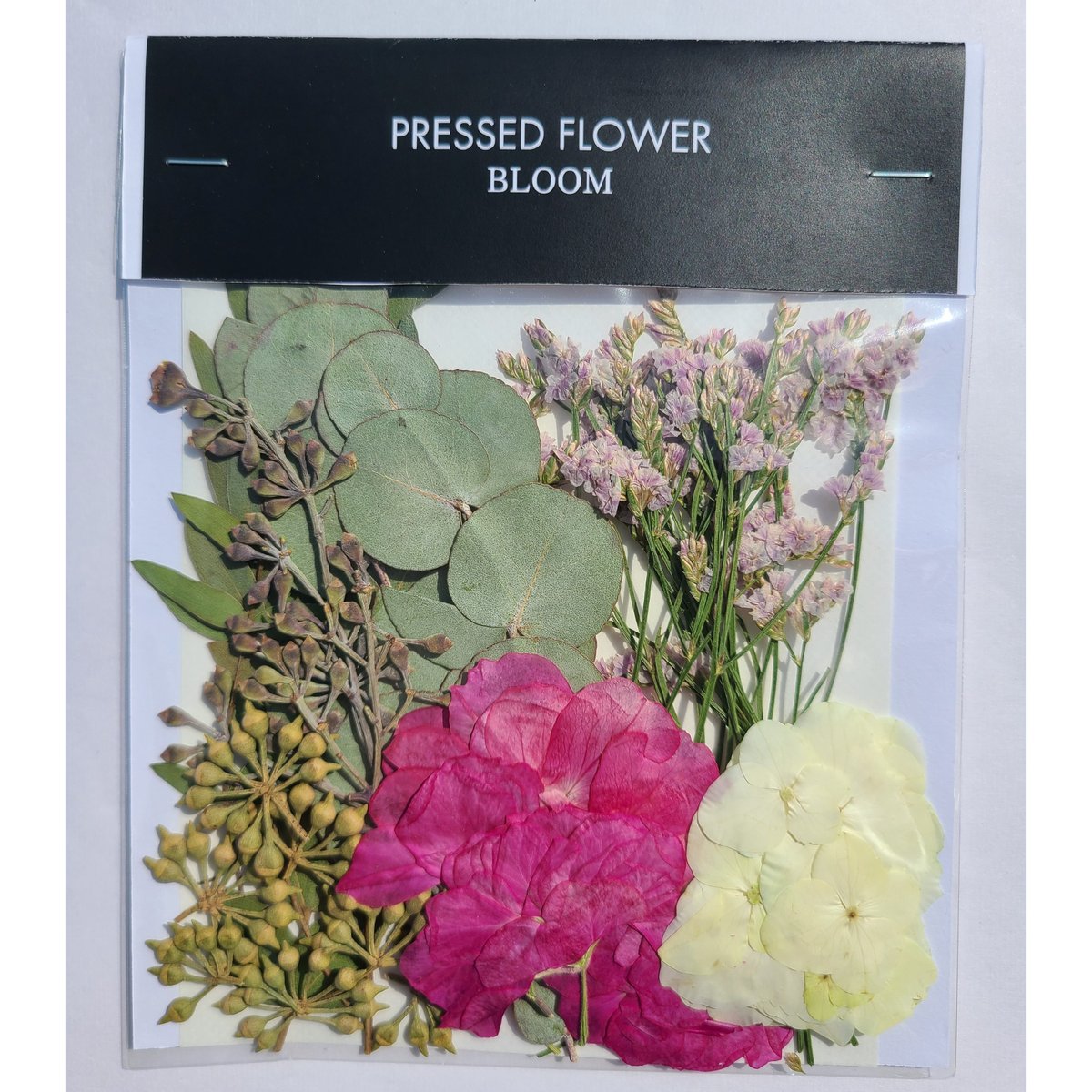 押し花｜花材セット SPストック Pressed Flower Kit ギフト