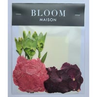 押し花｜花材セット カーネーション Pressed Flower Kit インテリア・ギフト・ウェルカムボードなどのハンドメイドに　F-966 BLOOM MAISON