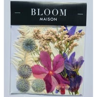 押し花｜花材セット ルリ玉アザミ Pressed Flower Kit インテリア・ギフト・ウェルカムボードなどのハンドメイドに　F-945 BLOOM MAISON