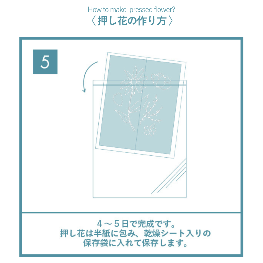 押し花スターターキット | BLOOM MAISON