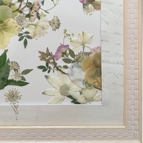 【2025年9月～12月】押し花のお教室：１Dayレッスン：トリニティ　※A～Cの中から1点お選びください