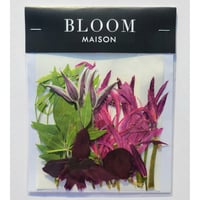 押し花｜花材セット ネリネ Pressed Flower Kit インテリア・ギフト・ウェルカムボードなどのハンドメイドに　F-727 BLOOM MAISON