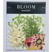 押し花｜花材セット ラナンキュラス Pressed Flower Kit インテリア・ギフト・ウェルカムボードなどのハンドメイドに　F-879 BLOOM MAISON