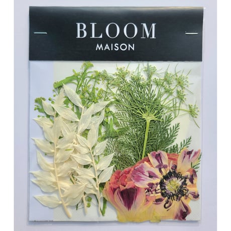 押し花｜花材セット ラナンキュラス Pressed Flower Kit インテリア・ギフト・ウェルカムボードなどのハンドメイドに　F-879 BLOOM MAISON