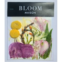 押し花｜花材セット クロコスミア Pressed Flower Kit インテリア・ギフト・ウェルカムボードなどのハンドメイドに　F-1036 BLOOM MAISON