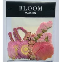 押し花｜花材セット ガーベラ Pressed Flower Kit インテリア・ギフト・ウェルカムボードなどのハンドメイドに　F-974 BLOOM MAISON