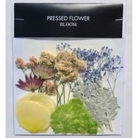 【押し花｜花材セット トルコキキョウ Pressed Flower Kit ギフト・ウエルカムボードなどのハンドメイドに】F-483 BLOOM MAISON