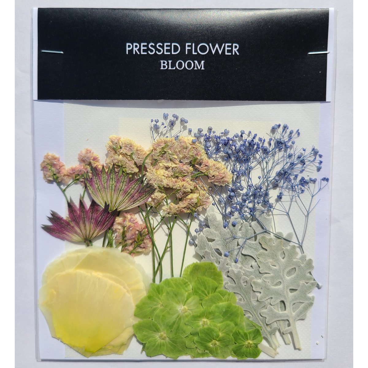 押し花｜花材セット トルコキキョウ Pressed Flower Kit ギフト